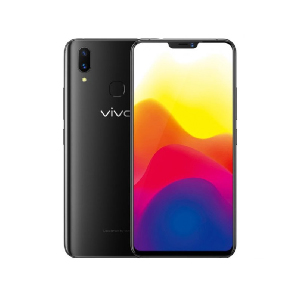 Vivo X21